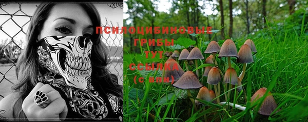 прущая мука Новодвинск