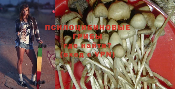 первитин Арсеньев